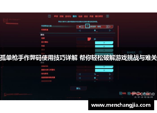 孤单枪手作弊码使用技巧详解 帮你轻松破解游戏挑战与难关